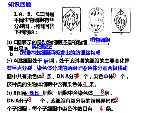 细胞分化、衰老高三高考生物一轮复习PPT优质公开课