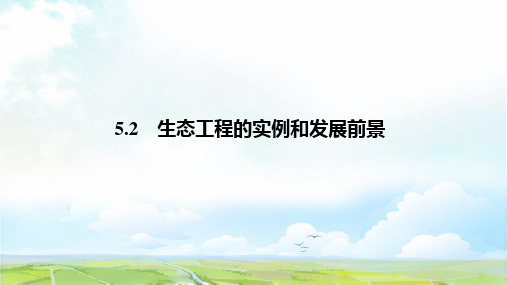 高中生物选修3优质课件:5.2 生态工程的实例和发展前景