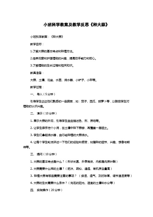 小班科学教案及教学反思《种大蒜》