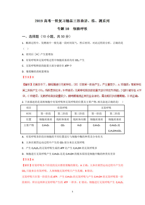 专题10 细胞呼吸(测)-2019年高考生物一轮复习精品讲练测+Word版含解析