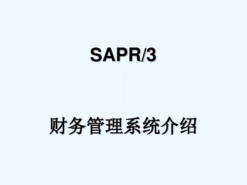 SAP实施及财务管理系统知识