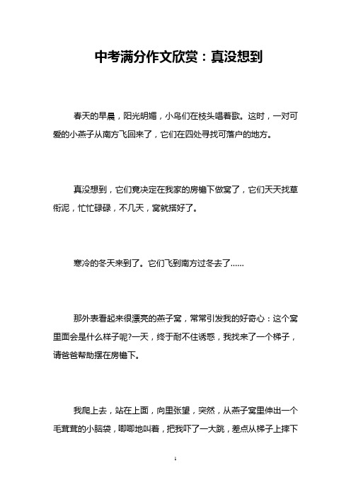 中考满分作文欣赏：真没想到