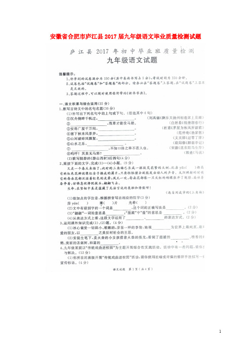 安徽省合肥市庐江县九年级语文毕业质量检测试题(扫描版)