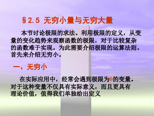 无穷小量与无穷大量