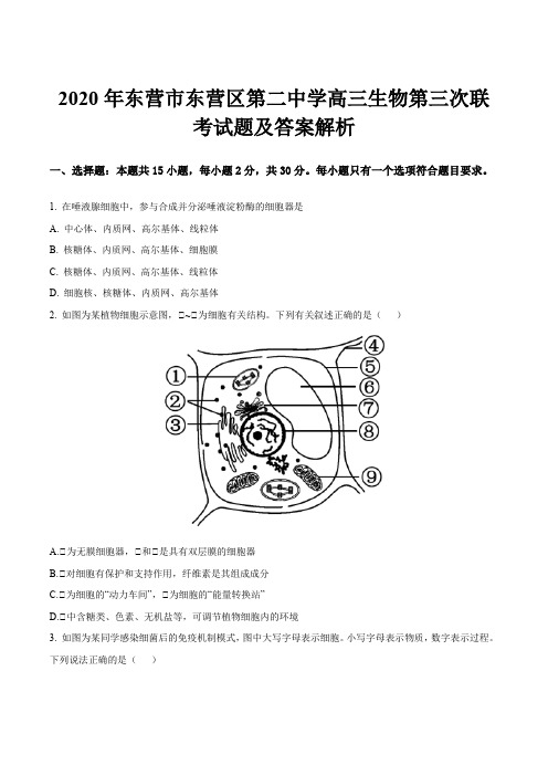 2020年东营市东营区第二中学高三生物第三次联考试题及答案解析