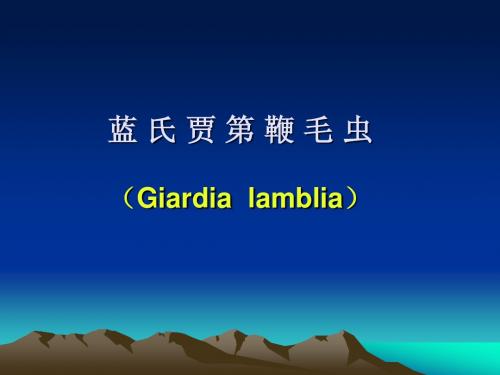 蓝 氏 贾 第 鞭 毛 虫 阴  道  毛  滴  虫