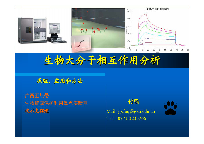 生物大分子相互作用分析