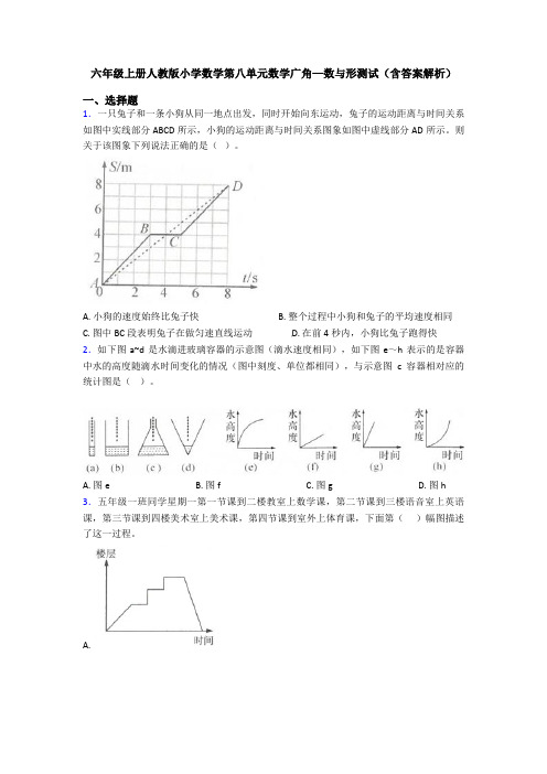 六年级上册人教版小学数学第八单元数学广角—数与形测试(含答案解析)