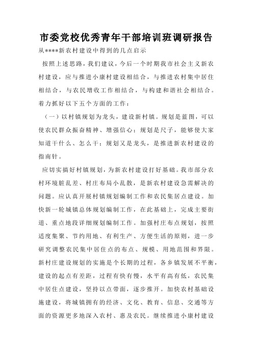 市委党校优秀青年干部培训班调研报告