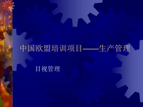 目视管理(ppt 11)