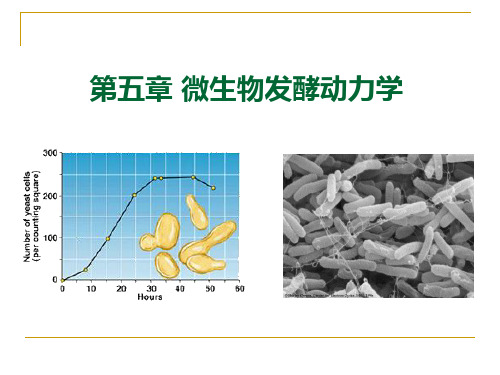 第五章 发酵过程动力学的基本概念 2