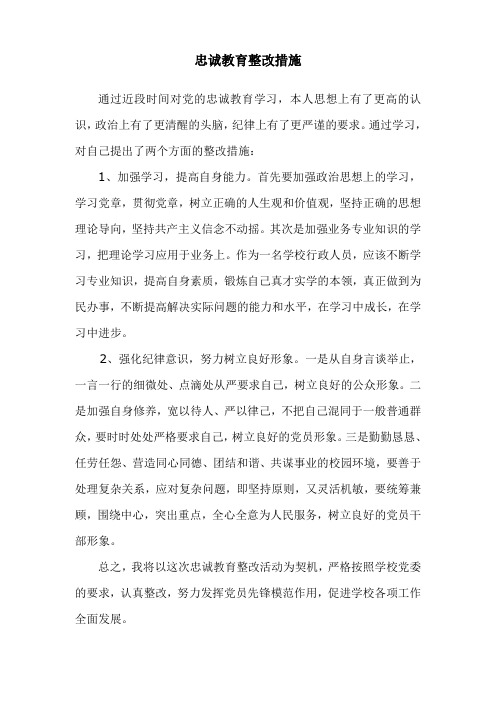 忠诚教育整改措施