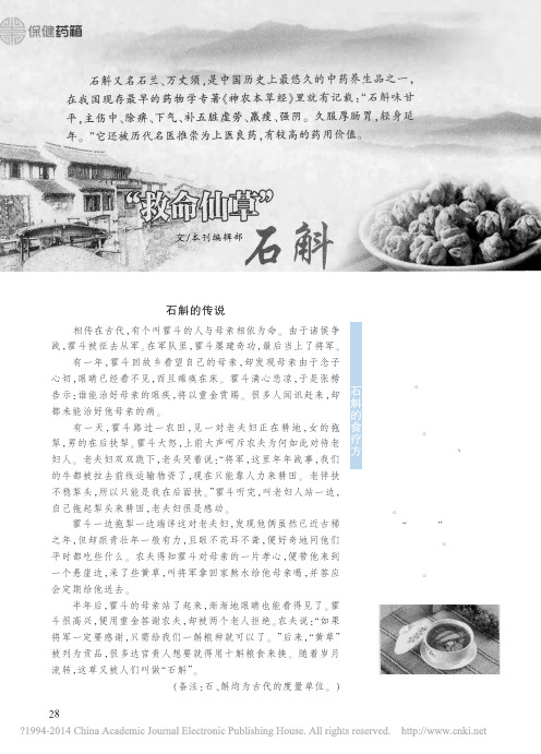 _救命仙草_石斛
