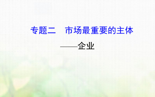 专题二 市场最重要的主体——企业 2019届高三政治二轮复习专题