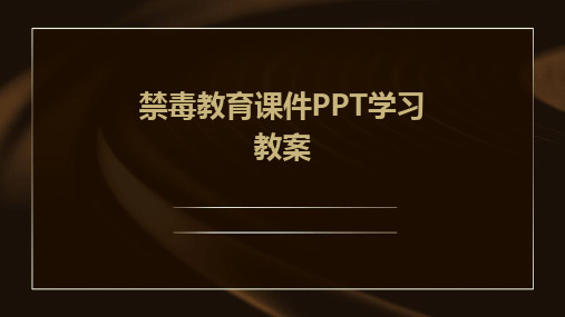 2024版禁毒教育课件PPT学习教案