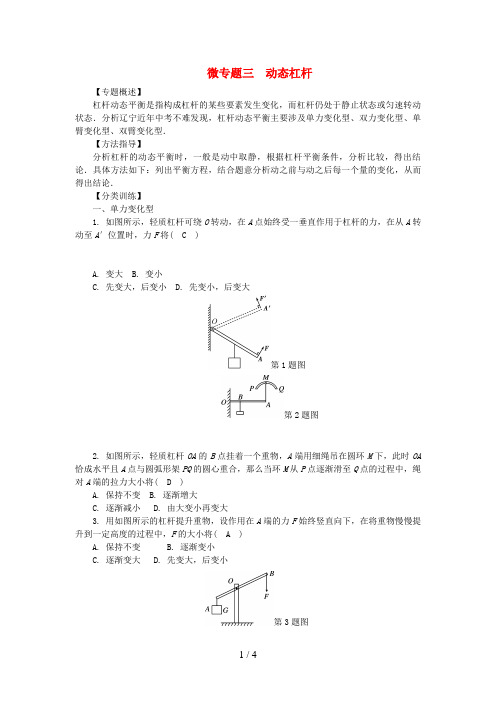 中考物理总复习微专题三动态杠杆试题