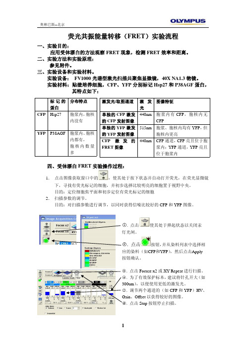 荧光共振能量转移FRET试验流程