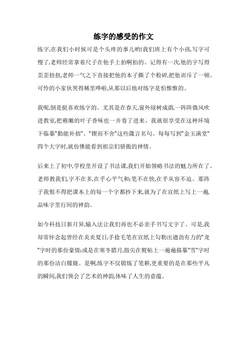 练字的感受的作文