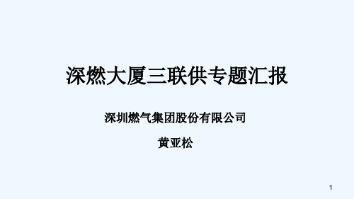 某燃气集团分布式能源项目报告