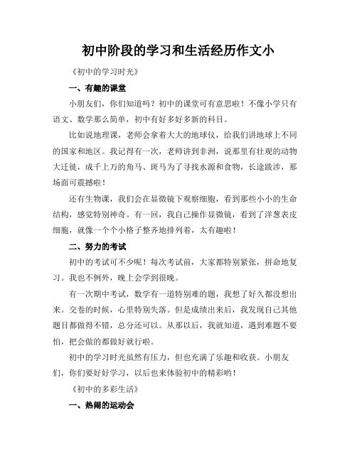 初中阶段的学习和生活经历作文小标题