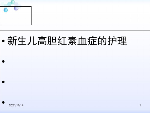 新生儿高胆红素血症的护理查房