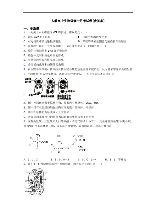 人教高中生物必修一月考试卷(含答案)