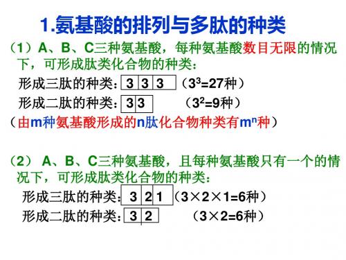 高中生物必修一蛋白质的计算ppt课件