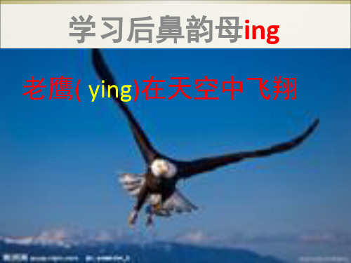 后鼻韵母ing课件