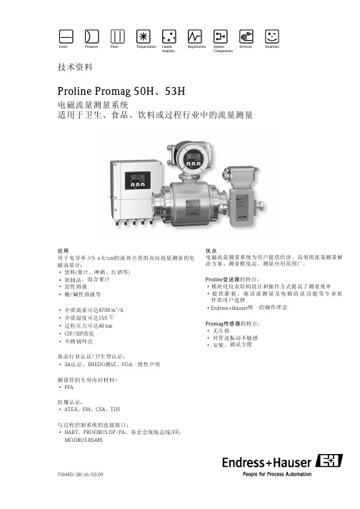 Endress+Hauser Proline Promag 50H、53H 电磁流量测量系统 说明书