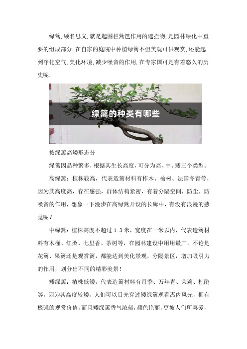 绿篱的种类有哪些