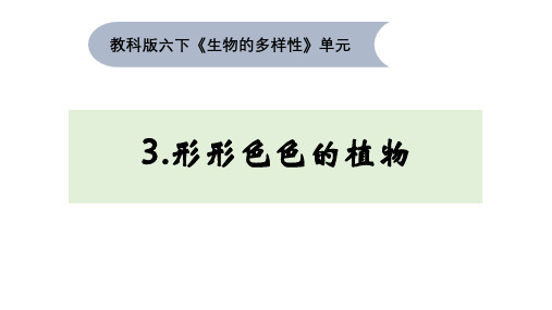 教科版小学科学六年级下册2-3 《形形色色的植物》