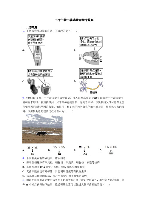 中考生物一模试卷含参考答案