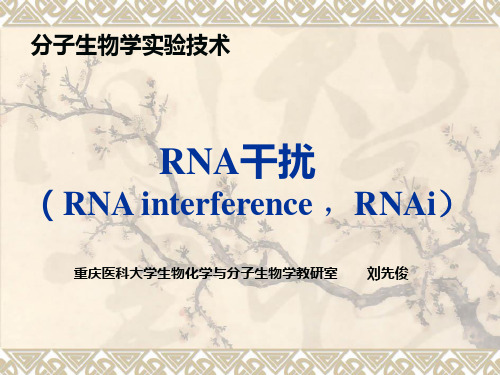 RNA干扰 (RNA interference ,RNAi)