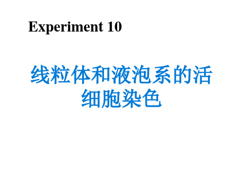 线粒体和液泡系的活细胞染色