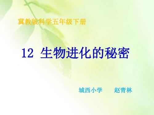 五年下12生物进化的秘密