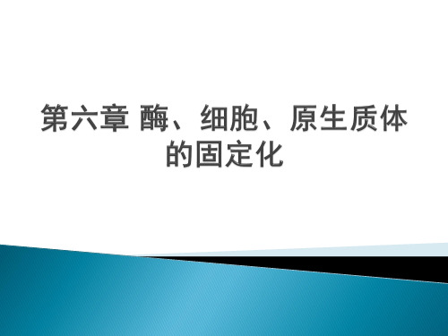 6 酶学与酶工程 第六章 酶的固定化