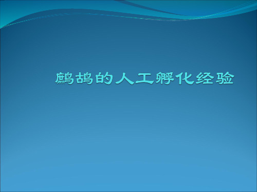 鹧鸪的人工孵化经验