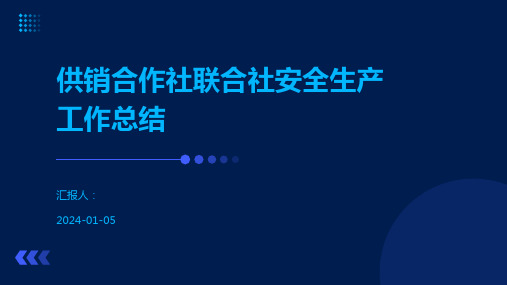 供销合作社联合社安全生产工作总结