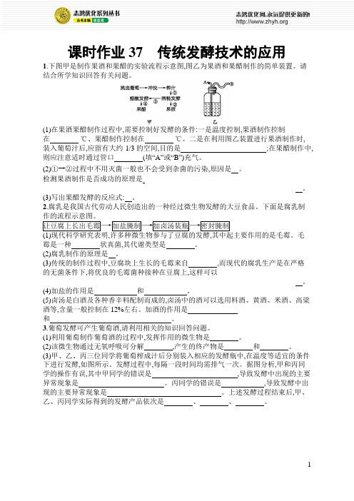 传统发酵技术的应用