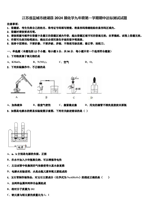 江苏省盐城市建湖县2024届化学九年级第一学期期中达标测试试题含解析