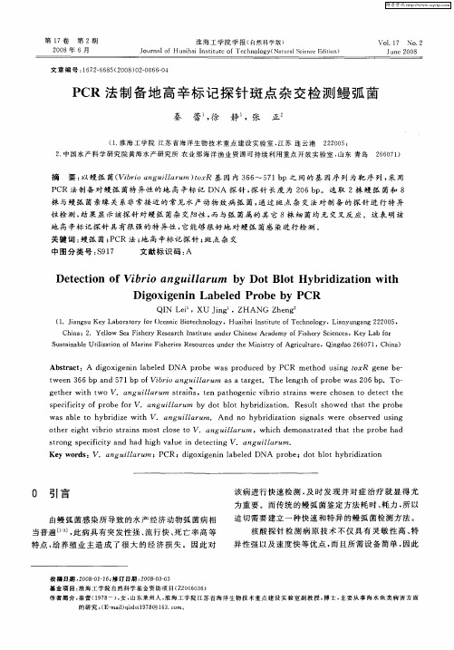 PCR法制备地高辛标记探针斑点杂交检测鳗弧菌