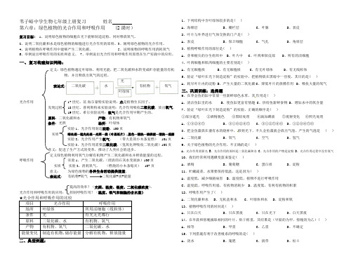 绿色植物的光合作用和呼吸作用复习