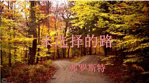 人教部编版七年级语文下册未选择的路