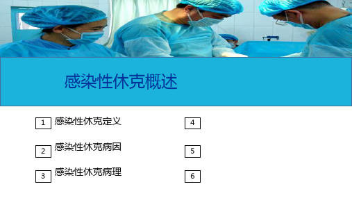 外科休克病人的护理—感染性休克病人的护理(护理课件)