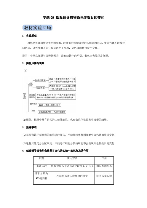 2020年高考生物实验突破专题09低温诱导植物染色体数目的变化(含解析)