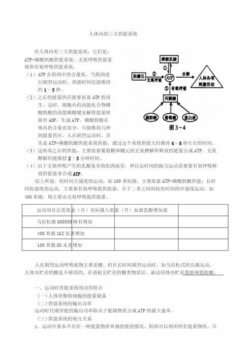 人体三大功能系统