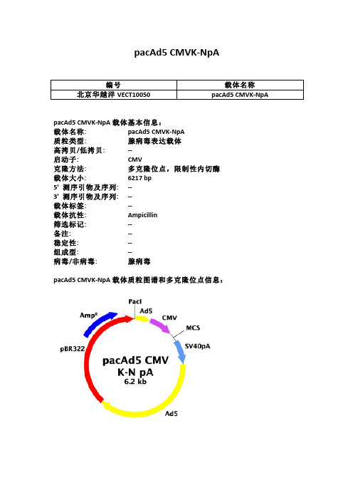 pacAd5 CMVK-NpA腺病毒载体说明(图)