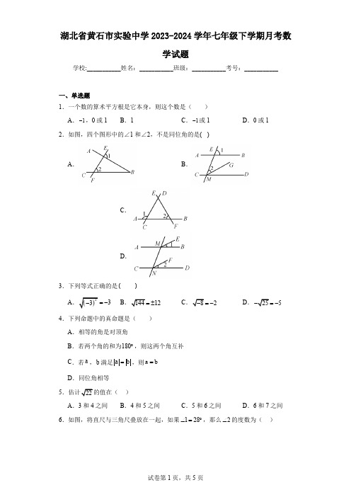 湖北省黄石市实验中学2023-2024学年七年级下学期月考数学试题