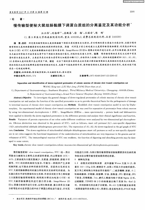 慢传输型便秘大鼠结肠黏膜下调蛋白质组的分离鉴定及其功能分析