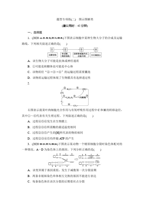 新高考生物考前冲刺题型专项练(二) 图示图解类